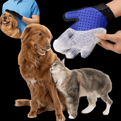 PetGlove 🧤Guantes Quita Pelo Para Mascotas🐶 - [PROMOCIÓN DISPONIBLE SOLO HOY]