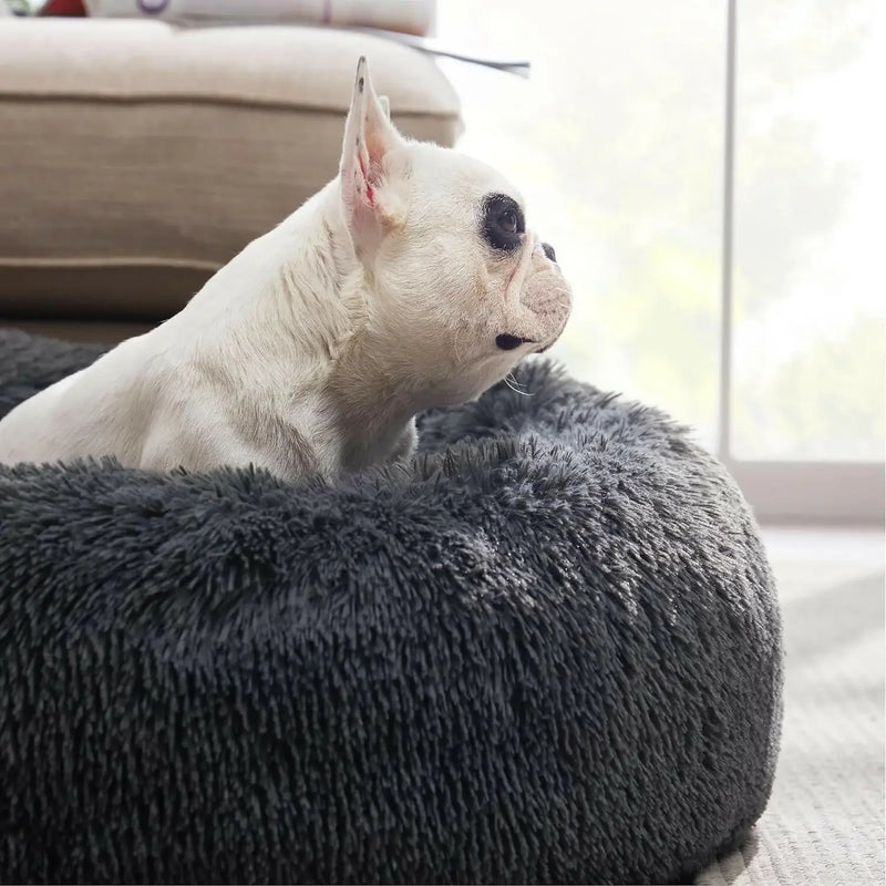 Cama DogLove™️ Super rellena Cama Anti-Estrés para Perro - [PROMOCIÓN DISPONIBLE SOLO HOY]