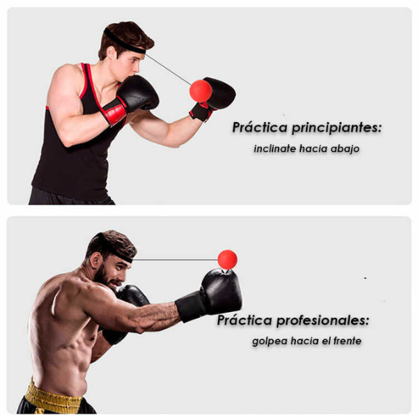 SpeedBall® - Pelota de Entrenamiento Boxeo