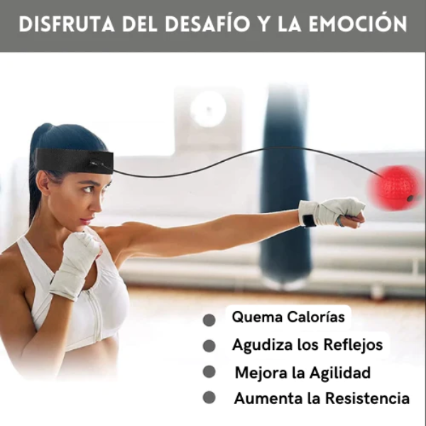 SpeedBall - Pelota de Entrenamiento Boxeo