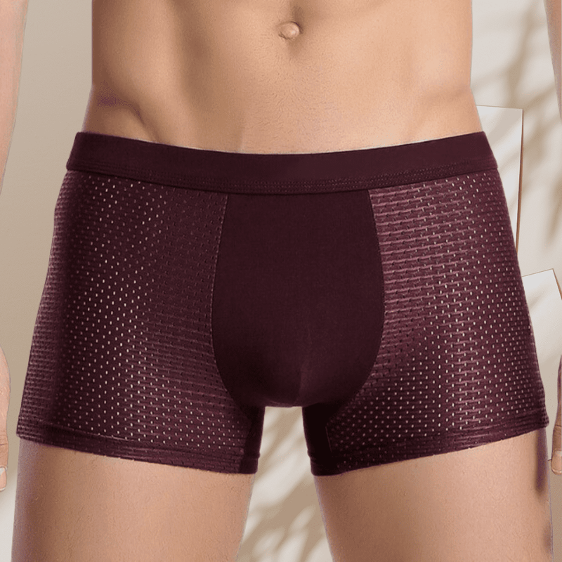 Pack de 4 Calzoncillos de Lujo Antibacterianos de Bambú