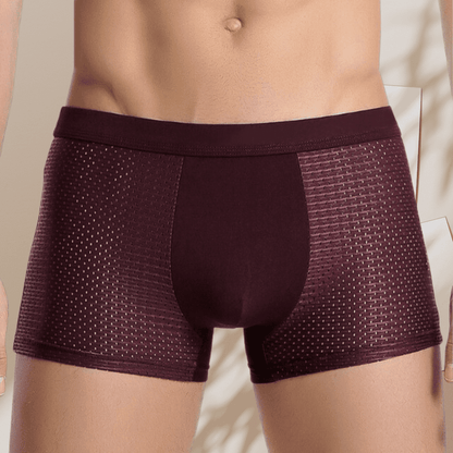 Pack de 4 Calzoncillos de Lujo Antibacterianos de Bambú